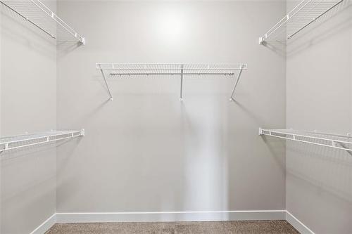 111 Oshanski Pl, West St Paul, MB - Indoor With Storage
