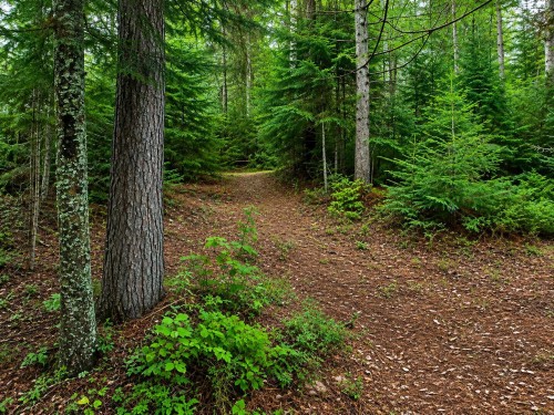 Terre/Terrain - 6646 Ch. Brassard, Saint-Zénon, QC - Outdoor