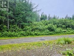 7 lot -Camp 4 Road  Bay D'Espoir Highway, NL A0H 1R0