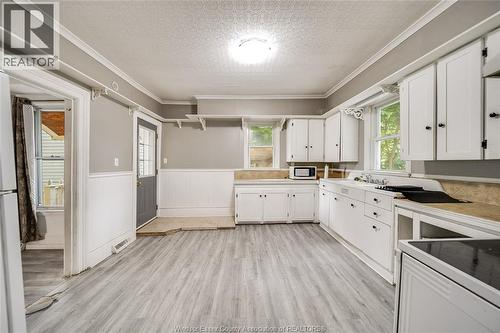 211 Cameron, Windsor, ON - Indoor Photo Showing Kitchen With Double Sink
