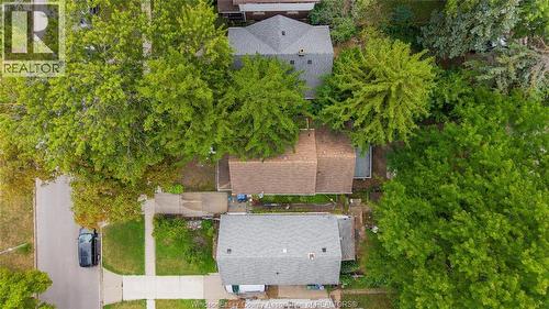 211 Cameron, Windsor, ON - Outdoor With View