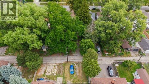 211 Cameron, Windsor, ON - Outdoor