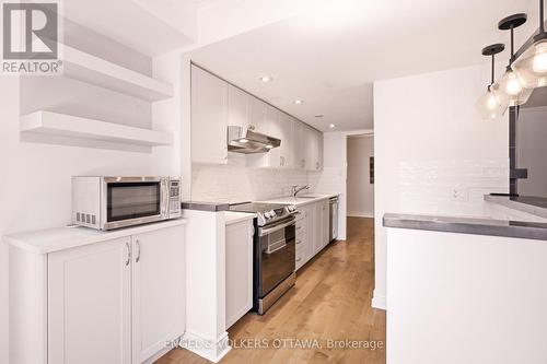 101 - 45 Argyle Avenue, Ottawa, ON - Indoor Photo Showing Kitchen With Upgraded Kitchen