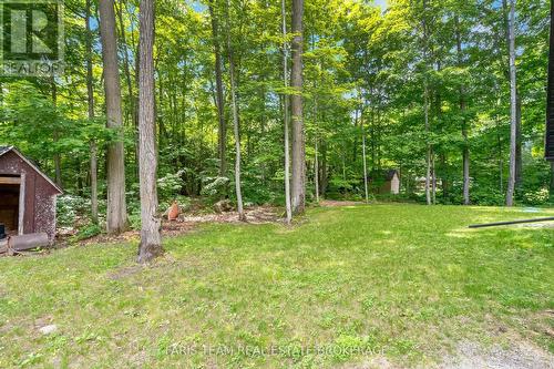 1490 Champlain Road, Tiny, ON - Outdoor