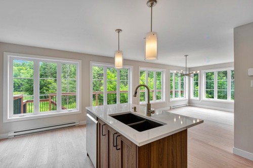 Cuisine - 44 Ch. Davidson, Chelsea, QC - Indoor Photo Showing Kitchen With Double Sink With Upgraded Kitchen
