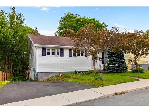 3 Nightingale Road, St. John'S, NL - Outdoor