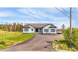 19 Todds Place Flatrock, NL A1K 013