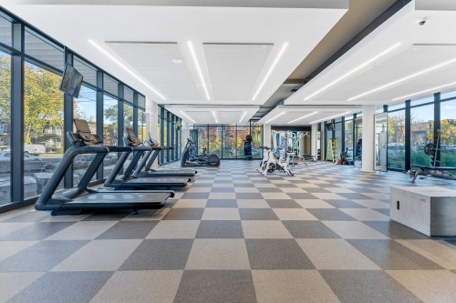Exercise Room - 422-5175 Rue Mackenzie, Montréal (Côte-Des-Neiges/Notre-Dame-De-Grâce), QC - Indoor Photo Showing Gym Room