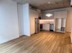 906-2160 Rue Tansley  Montréal (Ville-Marie), QC H2K 0E1