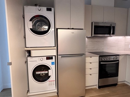 Cuisine - 906-2160 Rue Tansley, Montréal (Ville-Marie), QC - Indoor Photo Showing Laundry Room