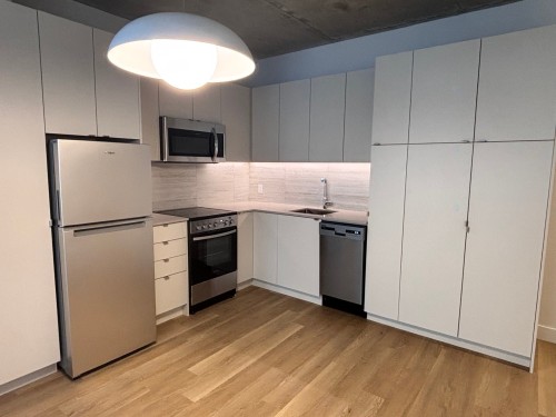 Cuisine - 906-2160 Rue Tansley, Montréal (Ville-Marie), QC - Indoor Photo Showing Kitchen With Upgraded Kitchen