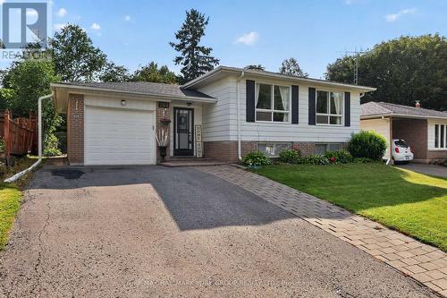 384 GLENROSE ROAD  Newmarket, ON L3Y 4M3