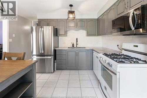 538 Michael Crescent, Lasalle, ON - Indoor Photo Showing Kitchen With Upgraded Kitchen