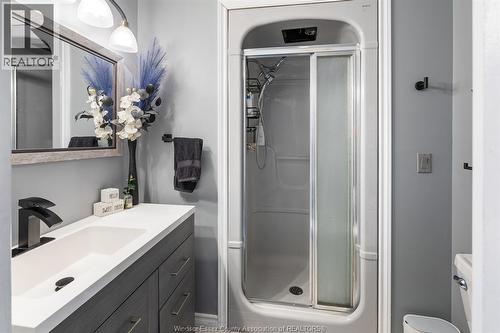 538 Michael Crescent, Lasalle, ON - Indoor Photo Showing Bathroom