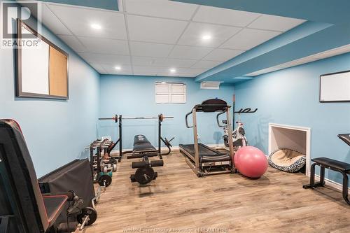 538 Michael Crescent, Lasalle, ON - Indoor Photo Showing Gym Room