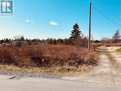 70A Central Street Bay Roberts, NL A0A 0H2