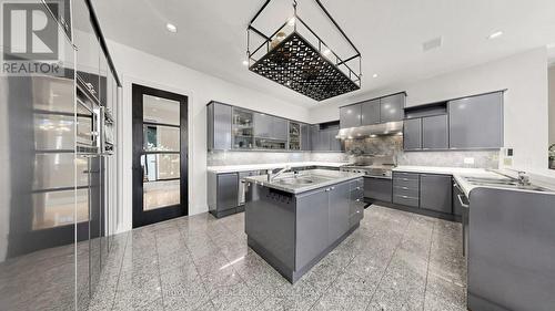 5 Abrams Place, Toronto, ON - Indoor Photo Showing Kitchen With Double Sink With Upgraded Kitchen
