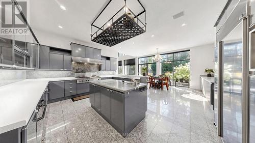 5 Abrams Place, Toronto, ON - Indoor Photo Showing Kitchen With Double Sink With Upgraded Kitchen