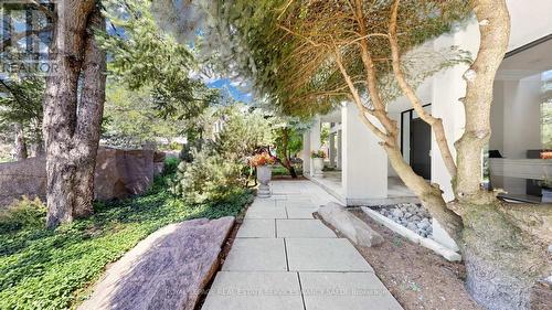 5 Abrams Place, Toronto, ON - Outdoor