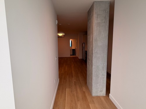 Hall d'entrée/Vestibule - 123-2160 Rue Tansley, Montréal (Ville-Marie), QC - Indoor Photo Showing Other Room