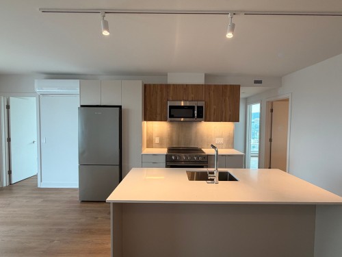 Cuisine - 901-2114 Rue Ste-Catherine E., Montréal (Ville-Marie), QC - Indoor Photo Showing Kitchen With Double Sink