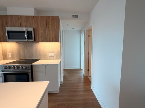 Hall d'entrée/Vestibule - 901-2114 Rue Ste-Catherine E., Montréal (Ville-Marie), QC - Indoor Photo Showing Kitchen