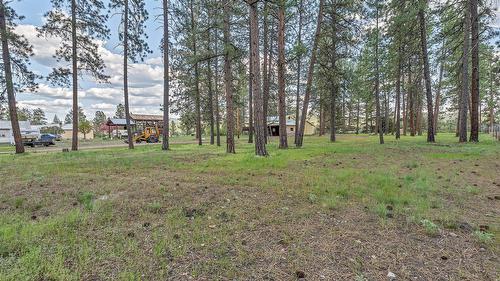 Jacobson Rd, Princeton, BC - Outdoor With View