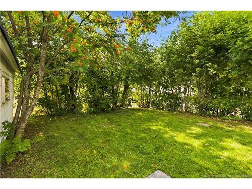 58 Shirley Ave, Moncton, NB 