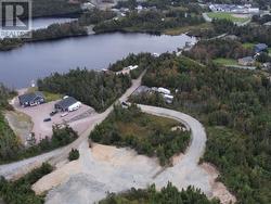 1 Beaver Pond Road  Cape Broyle, NL A0A 1P0