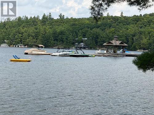 Sandfield 5 W3 - 3876 Muskoka Road 118 W, Muskoka Lakes (Medora), ON 