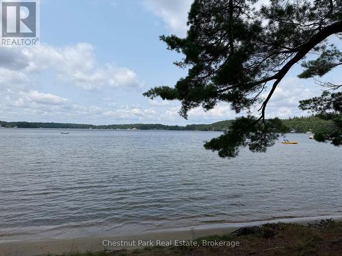 Sandfield 5 W3 - 3876 Muskoka Road 118 W, Muskoka Lakes (Medora), ON 