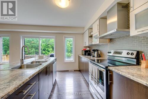 68 Crafter Crescent, Hamilton, ON - Indoor Photo Showing Kitchen With Double Sink With Upgraded Kitchen