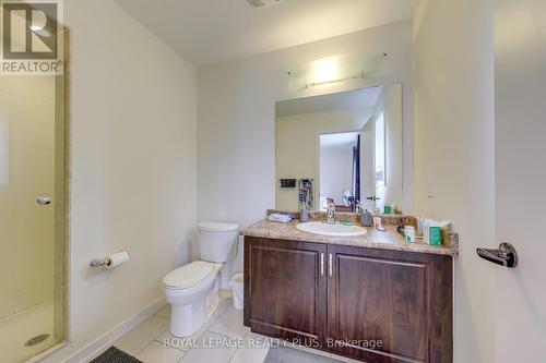 68 Crafter Crescent, Hamilton, ON - Indoor Photo Showing Bathroom