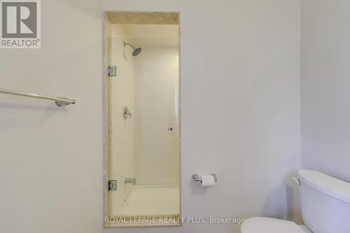 68 Crafter Crescent, Hamilton, ON - Indoor Photo Showing Bathroom