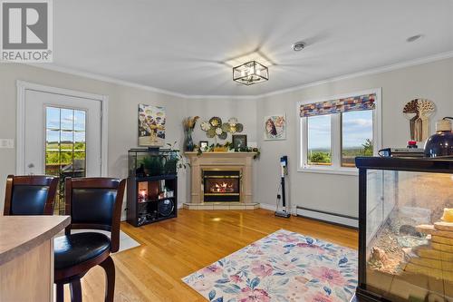 463 Main Road, St. John'S, NL - Indoor With Fireplace