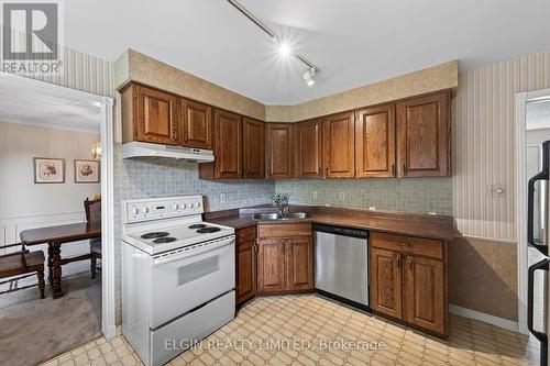 16 Massey Drive, St. Thomas, ON - Indoor Photo Showing Kitchen With Double Sink