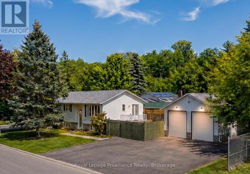 115 NICHOLAS STREET  Quinte West (Trenton Ward), ON K8V 6E8