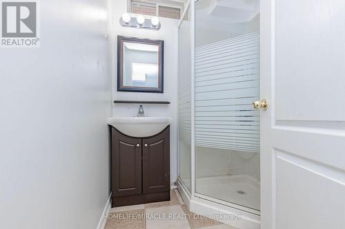 36 Tidemore Heights, Hamilton, ON - Indoor Photo Showing Bathroom