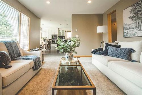 55 Winterhaven Dr, Winnipeg, MB - Indoor Photo Showing Living Room