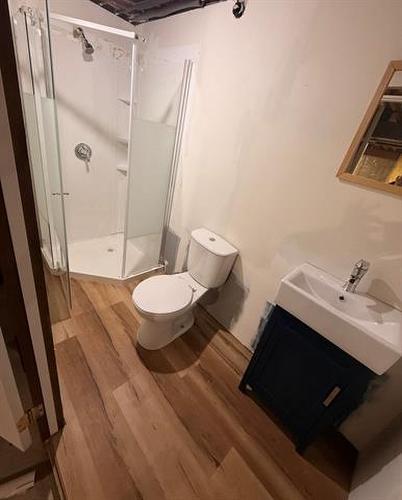 12 Oak Park Dr, Stonewall, MB - Indoor Photo Showing Bathroom