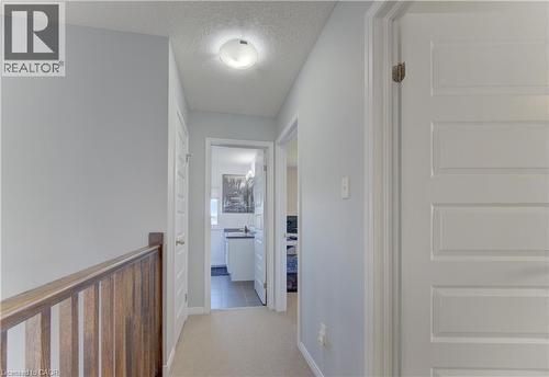 232 Cranbrook Street, Kitchener, ON - Indoor Photo Showing Other Room