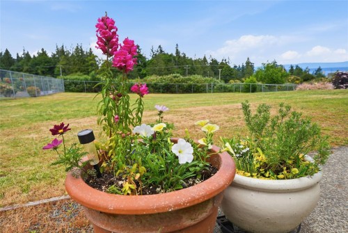 3861 Creekside Dr, Bowser, BC 
