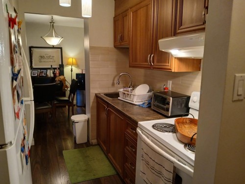 Kitchen - 1024-2555 Av. Du Havre-Des-Îles, Laval (Chomedey), QC - Indoor Photo Showing Kitchen