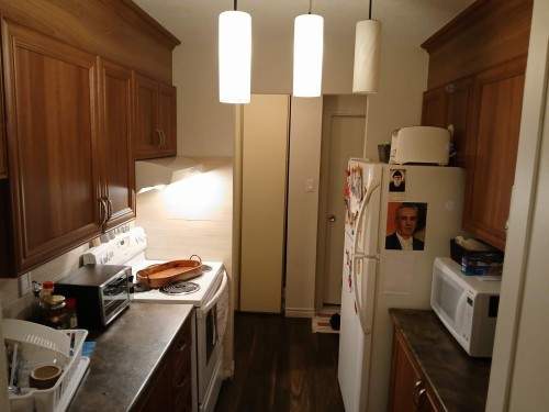 Kitchen - 1024-2555 Av. Du Havre-Des-Îles, Laval (Chomedey), QC - Indoor Photo Showing Kitchen