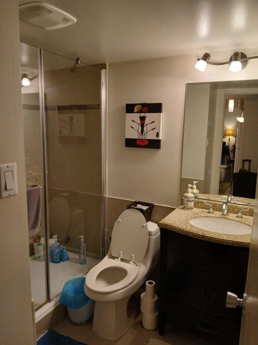 Bathroom - 1024-2555 Av. Du Havre-Des-Îles, Laval (Chomedey), QC - Indoor Photo Showing Bathroom