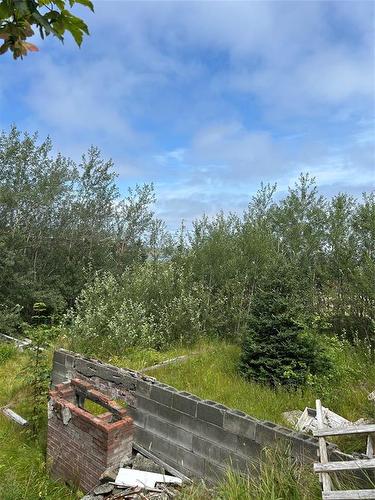 116 Bareneed Road, Bareneed, NL - Outdoor With View