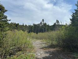 20 Ryan Road Spaniard's Bay, NL A0A 3X0