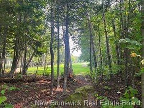 1880 Gowan Brae Dr, Bathurst, NB - Outdoor With View