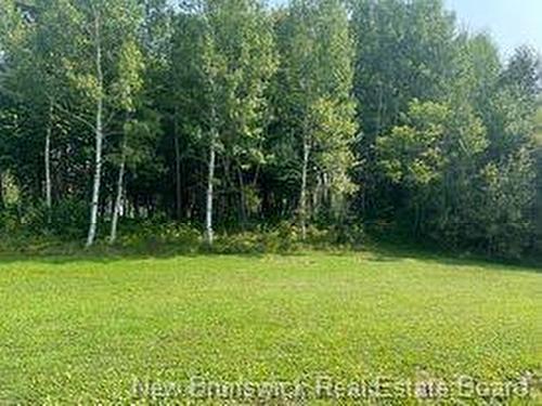 1880 Gowan Brae Dr, Bathurst, NB - Outdoor With View