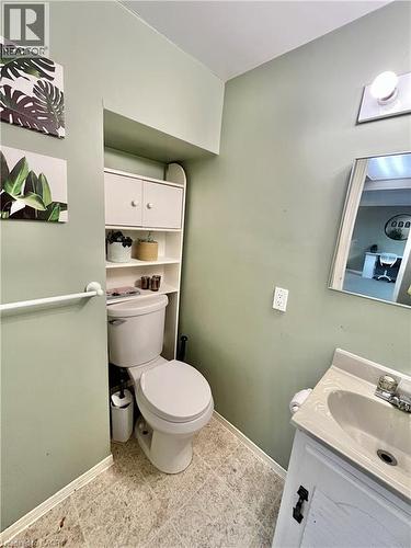 241 Thorner Drive, Hamilton, ON - Indoor Photo Showing Bathroom